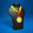 MDL 207 GOLD