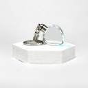 DT 247 HEART