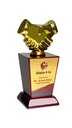 PL 669 A GOLD
