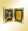 FP 10801 A GOLD