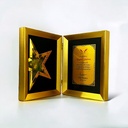 FP 10801 A GOLD