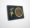 FP 10668 A