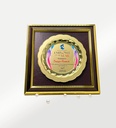 FP 10833