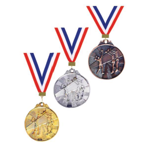 MDL 22 [Volley Ball]