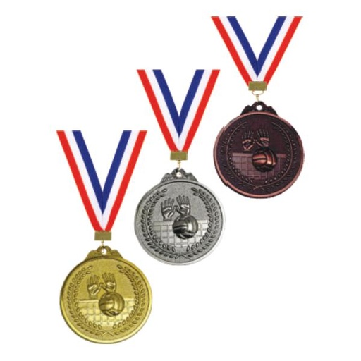 MDL 12 [VolleyBall]
