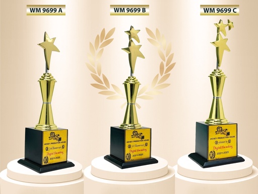 WM 9699
