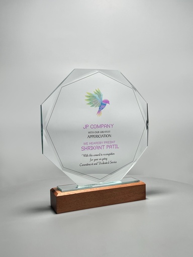 CG 569 (Manufacturing)